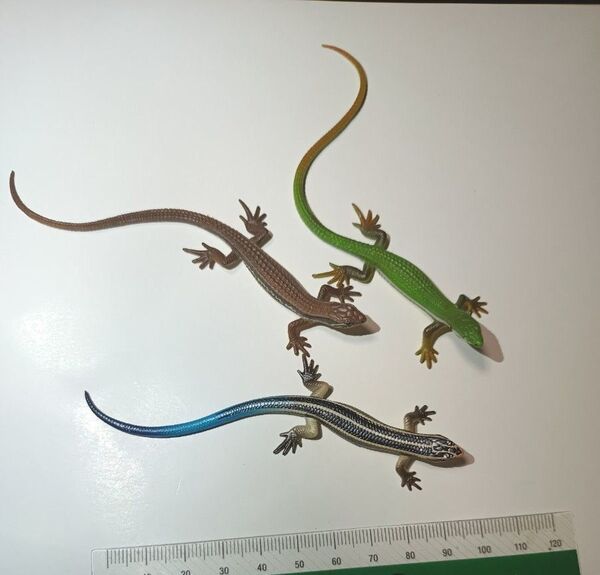 ネイチャーテクニカラー ニホントカゲ 幼体 カナヘビ フィギュア
