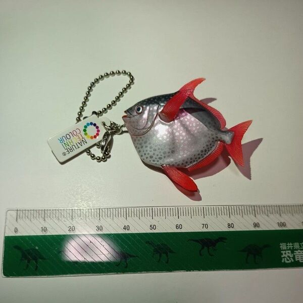 ネイチャーテクニカラー 深海魚 深海生物 アカマンボウ フィギュア ガチャポン ボールチェーン いきもん
