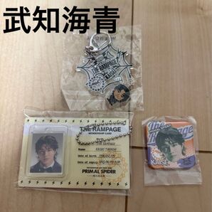 武知海青 THE RAMPAGE PRIMALSPIDER 巡らせる糸 カプセル ランペ スクエア缶バッジ 万ブリスターチャーム