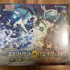 ポケモンカードゲーム ジムセットスノーハザード&クレイバースト ナンジャモセット シュリンク付き1個