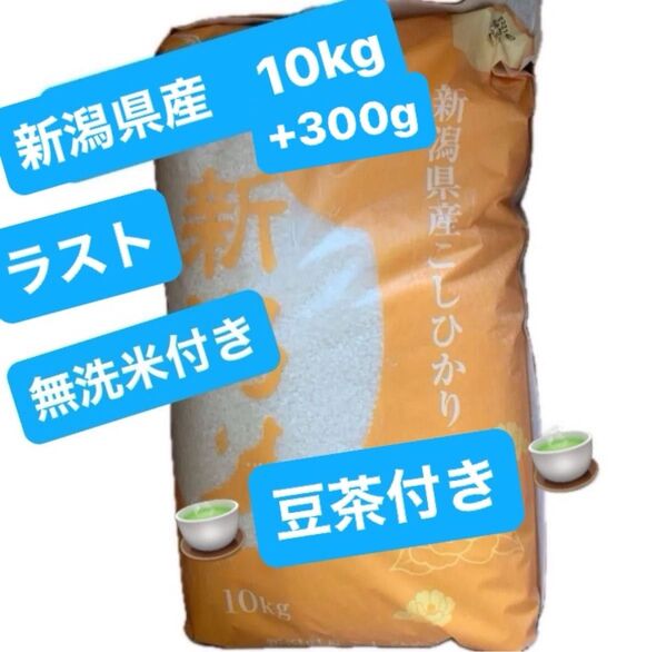 令和6年産 新潟県産 コシヒカリ お米10kg 白米 新潟 こしひかり 新米 コシヒカリ ★ラストサービス 豆茶&無洗米300g