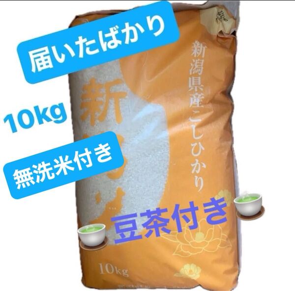 令和6年産 新潟県産 コシヒカリ お米10kg 白米 新潟 こしひかり 新米 コシヒカリ ★ラストサービス 無洗米300g.付き