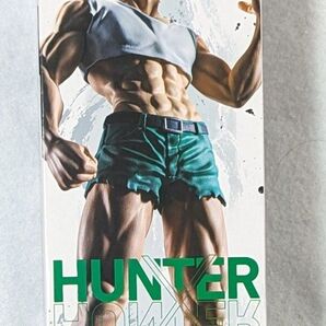 HUNTER×HUNTER フィグライフ! ゴン-ありったけのペン-フィギュア