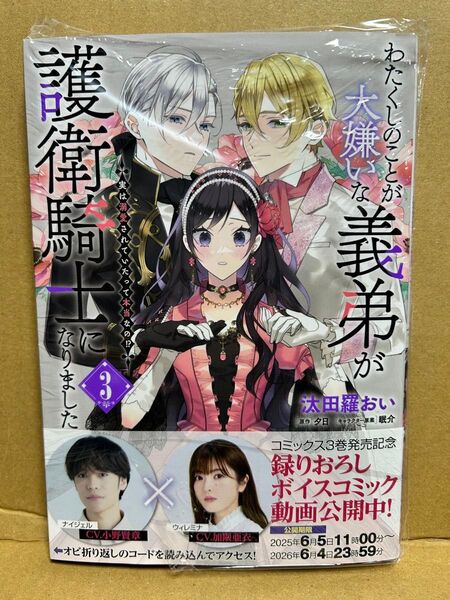 わたくしのことが大嫌いな義弟が護衛騎士になりました 3