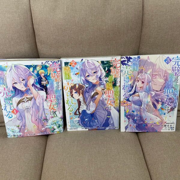 完璧すぎて可愛げがないと婚約破棄された聖女は隣国に売られる1~3