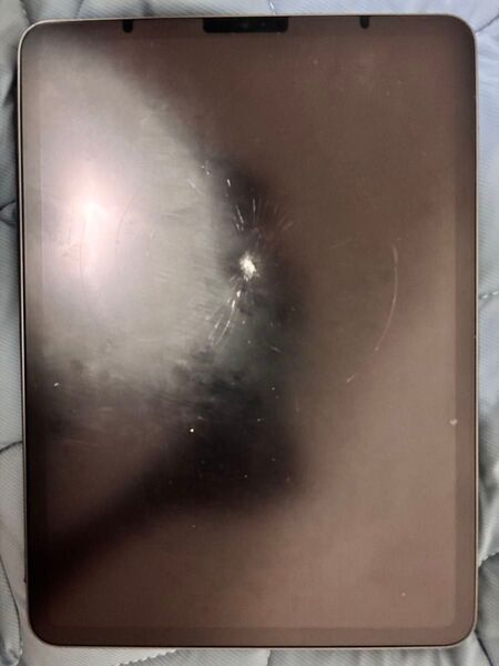 iPad Pro 11インチ 第3世代 256GB スペースグレー (ジャンク)