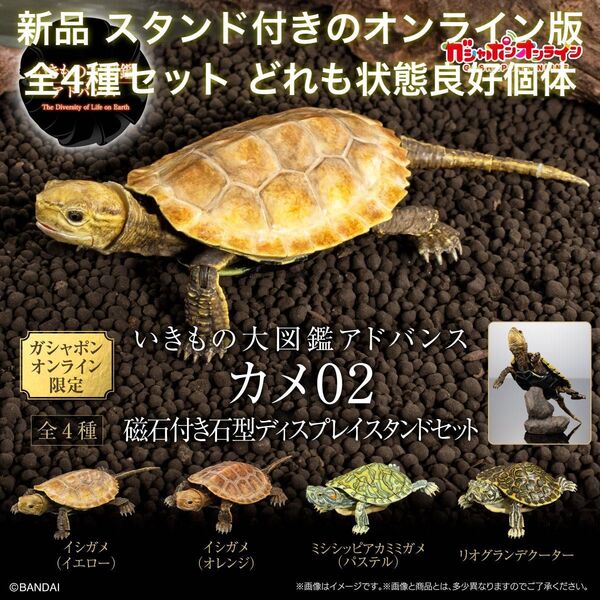新品 いきもの大図鑑アドバンス カメ02 ガシャポンオンライン版 磁石付き石型ディスプレイスタンドセット 全4種 / イシガメ