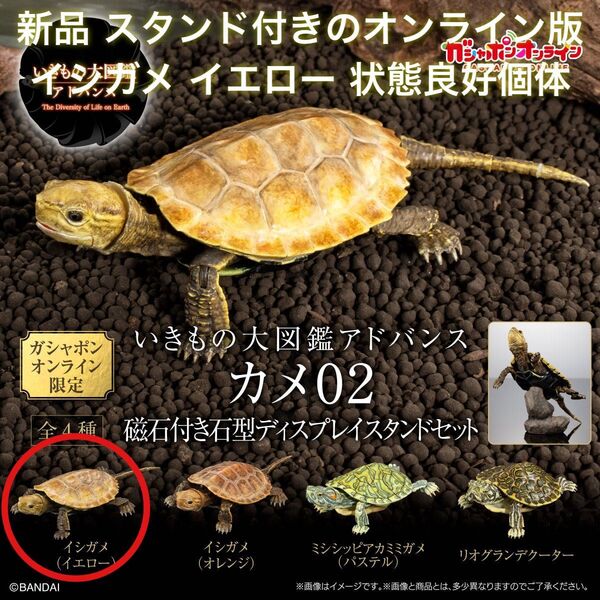 新品 いきもの大図鑑アドバンス カメ02 ガシャポンオンライン版 磁石付き石型ディスプレイスタンドセット イシガメ イエロー 幼体