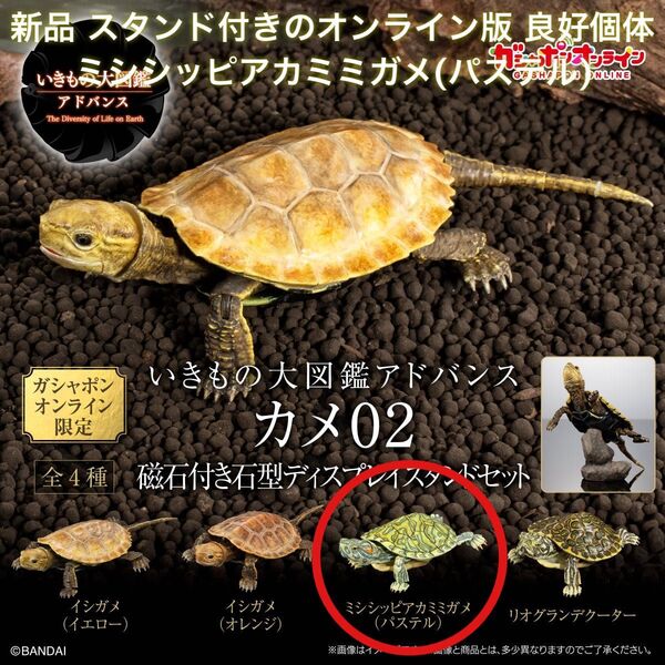 新品 いきもの大図鑑アドバンス カメ02 ガシャポンオンライン 磁石付き石型スタンド付き ミシシッピアカミミガメ パステル ①