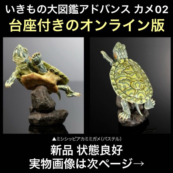 新品 いきもの大図鑑アドバンス カメ02 ガシャポンオンライン 磁石付き石型スタンド付き ミシシッピアカミミガメ パステル ③