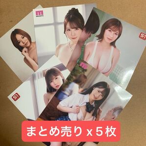セクシー女優 まとめ 公式 生写真 x 5枚 DVD 特典 / グラビアアイドル チェキ プロマイド グッズ