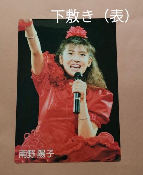 南野陽子 下敷き