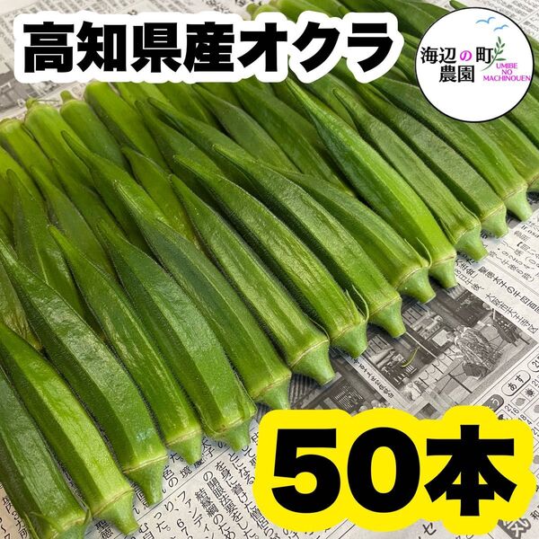 夏野菜【高知県産オクラ】A品&B品 50本 おくら 野菜 産地直送Tvv