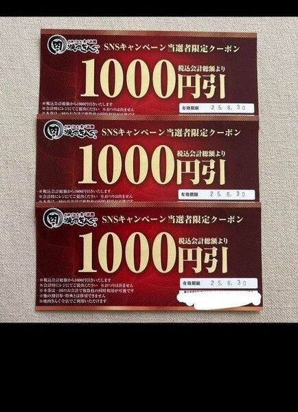 焼肉きんぐ クーポン 割引券 3000円分