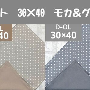 ランチョンマット3040 ドット モカ&グレー 2枚 ナフキン 給食 シンプル