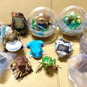 カエル ガチャ 大量 まとめ売り カプセルトイ