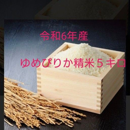 令和6年産 ゆめぴりか精米 5キロ