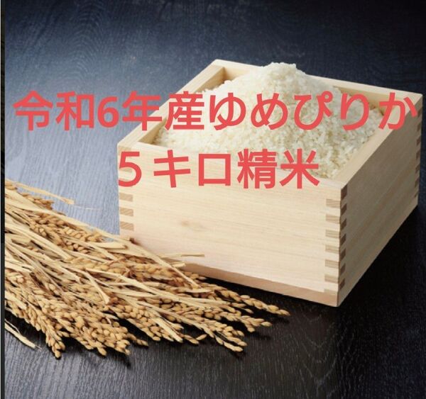 令和6年産ゆめぴりか精米5キロ