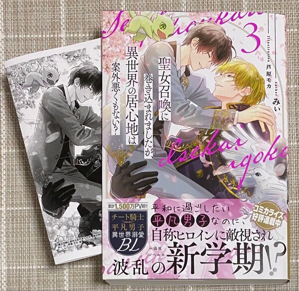 聖女召喚に巻き込まれましたが、異世界の居心地は案外悪くもない? 3/一迅社ノベルス/ペーパー付