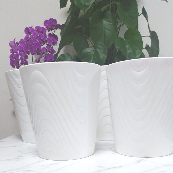 植木鉢 胡蝶蘭鉢 4個セット プラスチック製