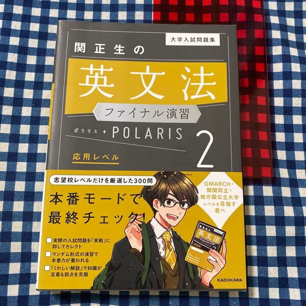 大学入試問題集関正生の英文法ファイナル演習ポラリス 2 (大学入試問題集) 関正生/著