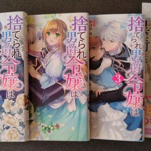 捨てられ男爵令嬢は黒騎士様のお気に入り 既刊4冊セット (ZERO-SUMコミックス) 水野沙彰