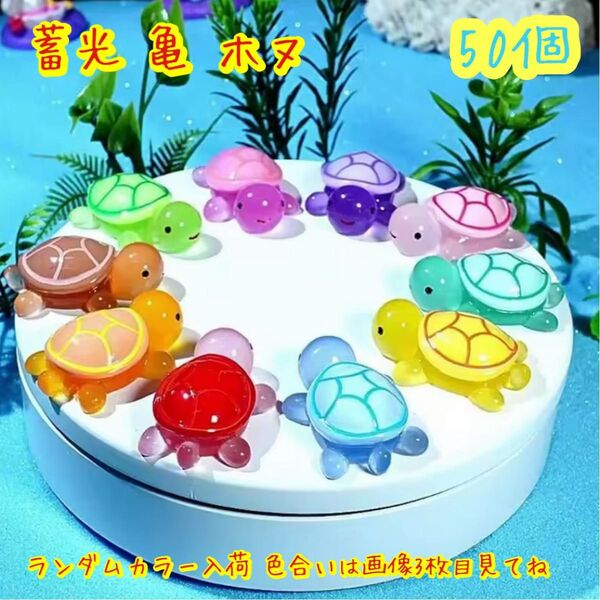 蓄光 ホヌ 亀 50個 オブジェ カラフル亀さん 観葉植物 インテリア雑貨 デコパーツカボション デコパーツまとめて