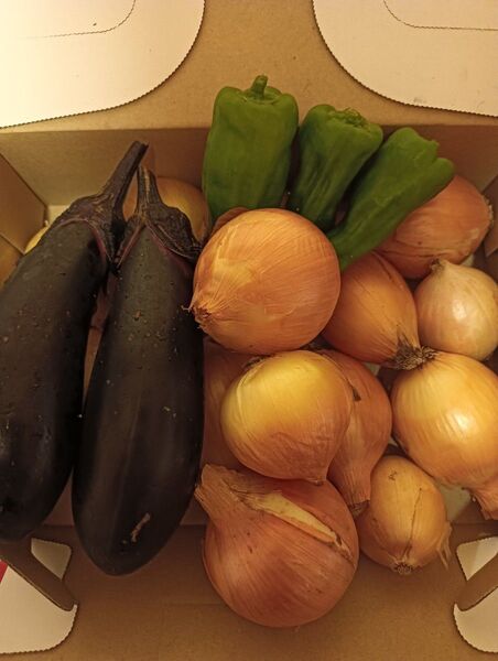 野菜詰合せ! ナス2〜3個 ピーマン2〜3個 玉ねぎ1kg
