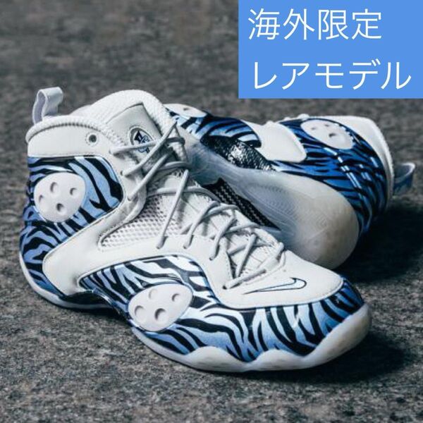 海外限定モデルZoom Rookie PRM “Memphis Tigers”