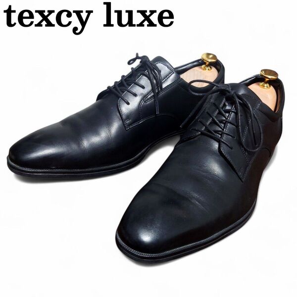 【即日発送/送料無料/価格の相談OK!!】 texcy luxe ゴアテックス ビジネスシューズ 26.5cm EEE 黒