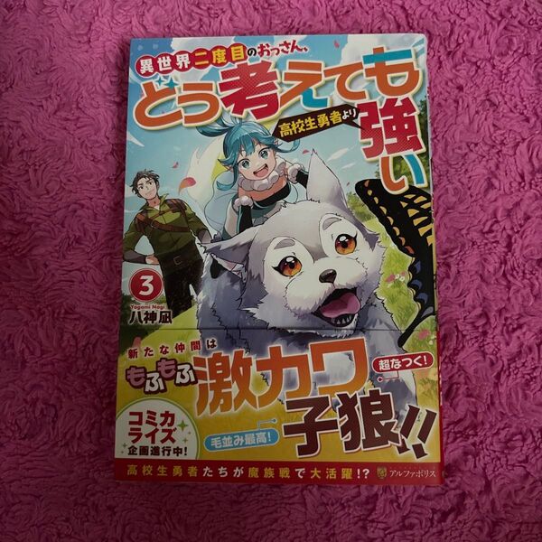 異世界二度目のおっさん、どう考えても高校生勇者より強い 3 八神凪/〔著〕