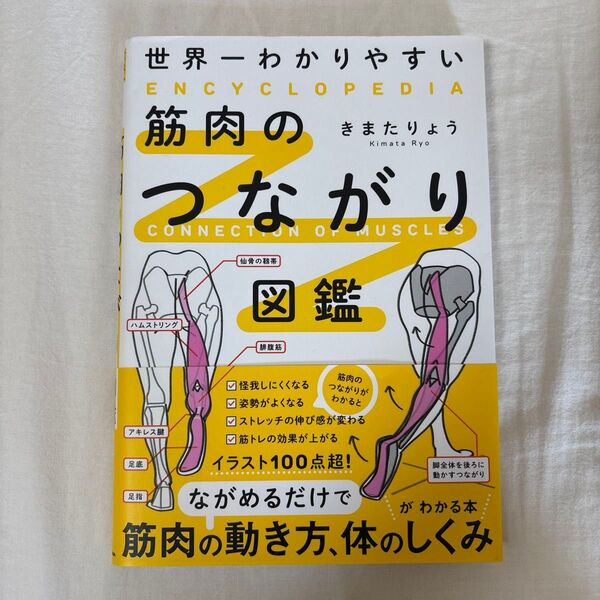 世界一わかりやすい筋肉のつながり図鑑