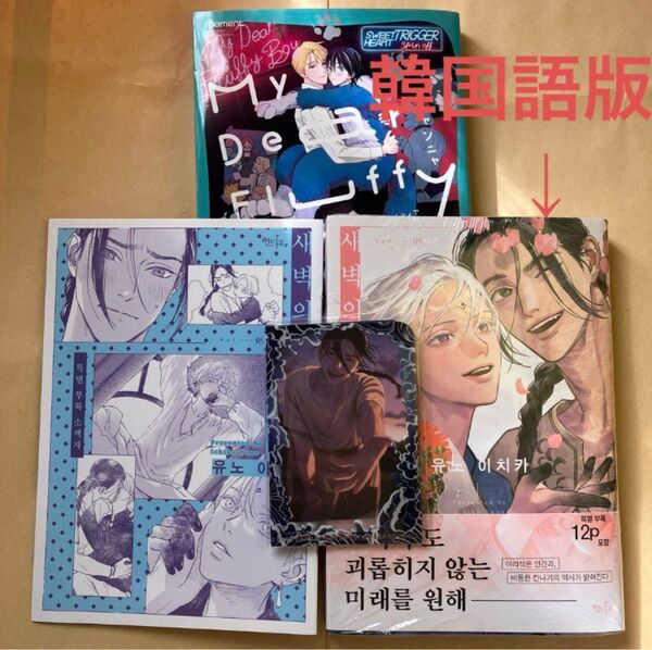韓国語版 夜明けの唄 5 小冊子 イラストフォトカード3種ホルダー ユノイチカ 海外版限定特典付