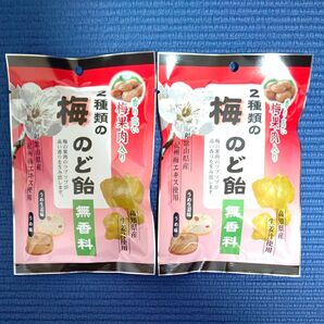 2種類の梅のど飴/評判堂/うめ味/うめ生姜味/のどあめ/塩分補給/熱中症対策/生姜汁/梅果肉/ポイント消化/クーポン消化