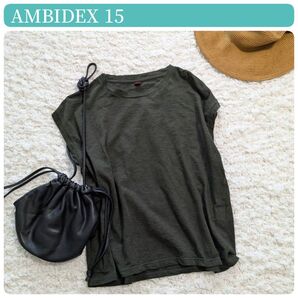 美品【AMBIDEX15】アンビデックス フレンチスリーブ Tシャツ 日本製