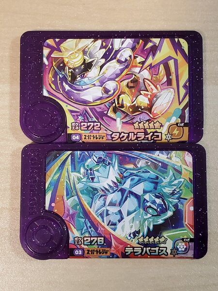 ポケモンフレンダ フレンダピック スーパートレジャー④ 5弾 タケルライコ テラパゴス 2個セット