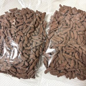 平塚製菓アウトレット☆大容量600g!☆チョコ掛け柿の種 2袋
