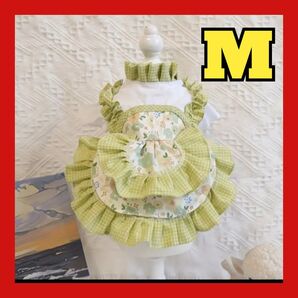 ペットウェア ドッグウェア 犬 猫 エプロンドレス ワンピース 夏服 Mサイズ