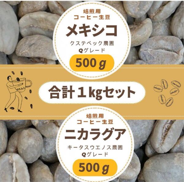 コーヒー生豆 メキシコ ニカラグア 2産地セット 500g x 2 合計 1kg