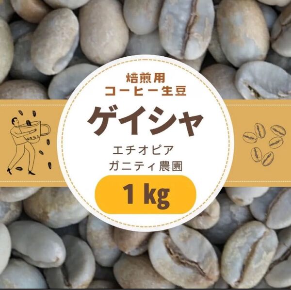 自家焙煎用 コーヒー生豆 ゲイシャ エチオピア ガニティ農園 1kg