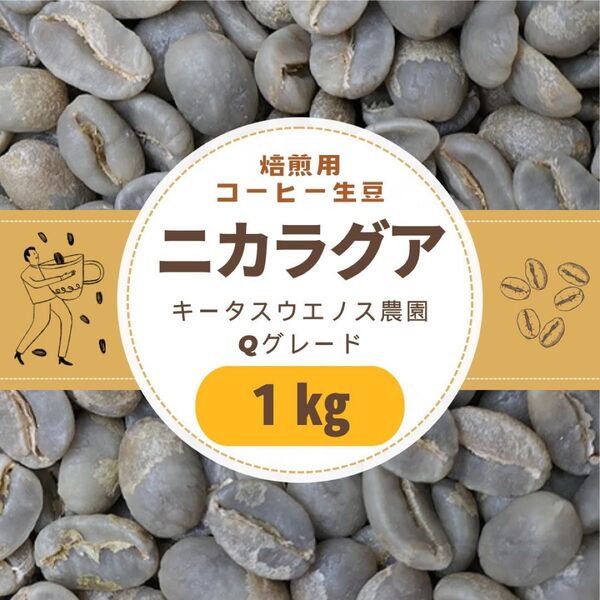 焙煎用 コーヒー生豆 ニカラグア キータスウエノス農園 1kg