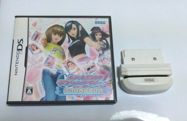 DSオシャレ魔女ラブ&ベリー DSカードリーダーセット 説明書なし