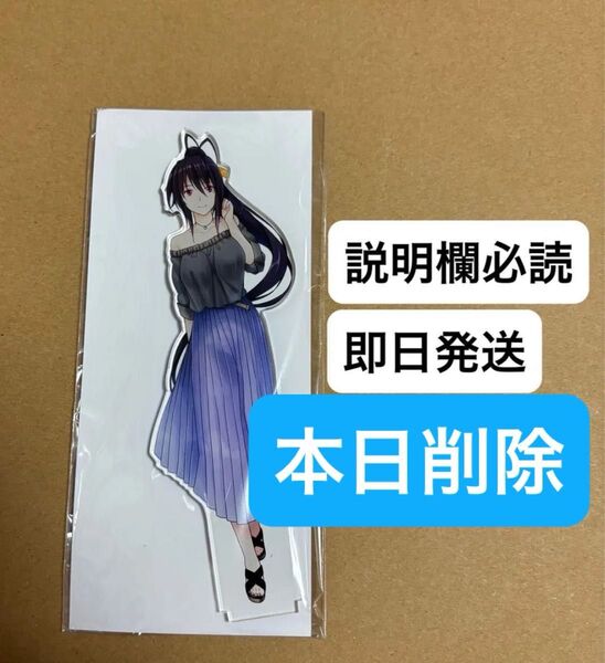 本日削除 くじ引き堂 ハイスクールD×D 朱乃がいっパイくじ B賞 B-2 アクリルスタンド 私服