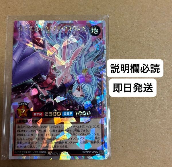 遊戯王 ラッシュデュエル 花牙疾走のクノイチ・エトランゼ オーバーラッシュレア