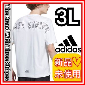 【3L】アディダス ワーディング ヘビー 半袖 Tシャツ 新品未使用品 タグ付き 生地厚手 ゆったりサイズ IM8769