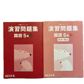 予習シリーズ演習問題集国語5年下 問題集解答解説2冊セット