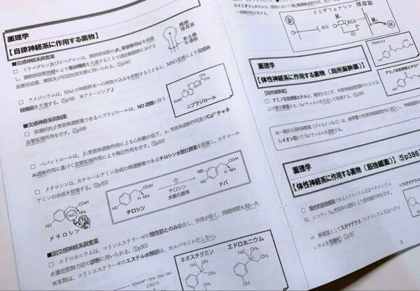 【即日発送】薬ゼミ 直前講習 総復習 薬理薬剤師国家試験薬学ゼミナール