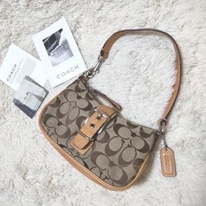 COACH アクセサリーポーチ ハンドバッグ レザー コーチ ミニバッグ