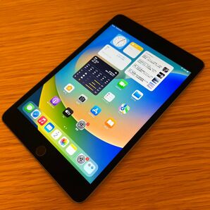 美品 iPad mini5 第5世代 64GB wifi ジャンク