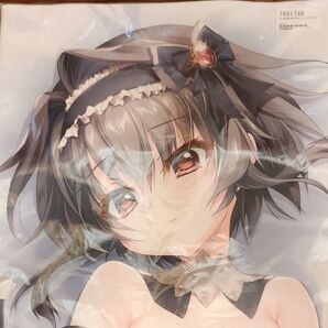 正規品 未開封 結城希亜 抱き枕カバー C101翡翠亭 和泉つばす